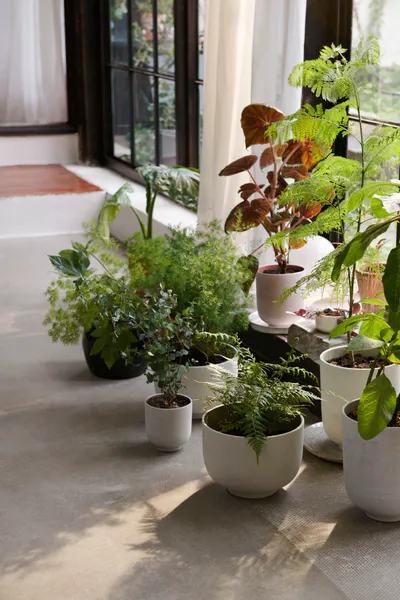 Hovedbilde &Tradition Collect Planter SC69, Milk